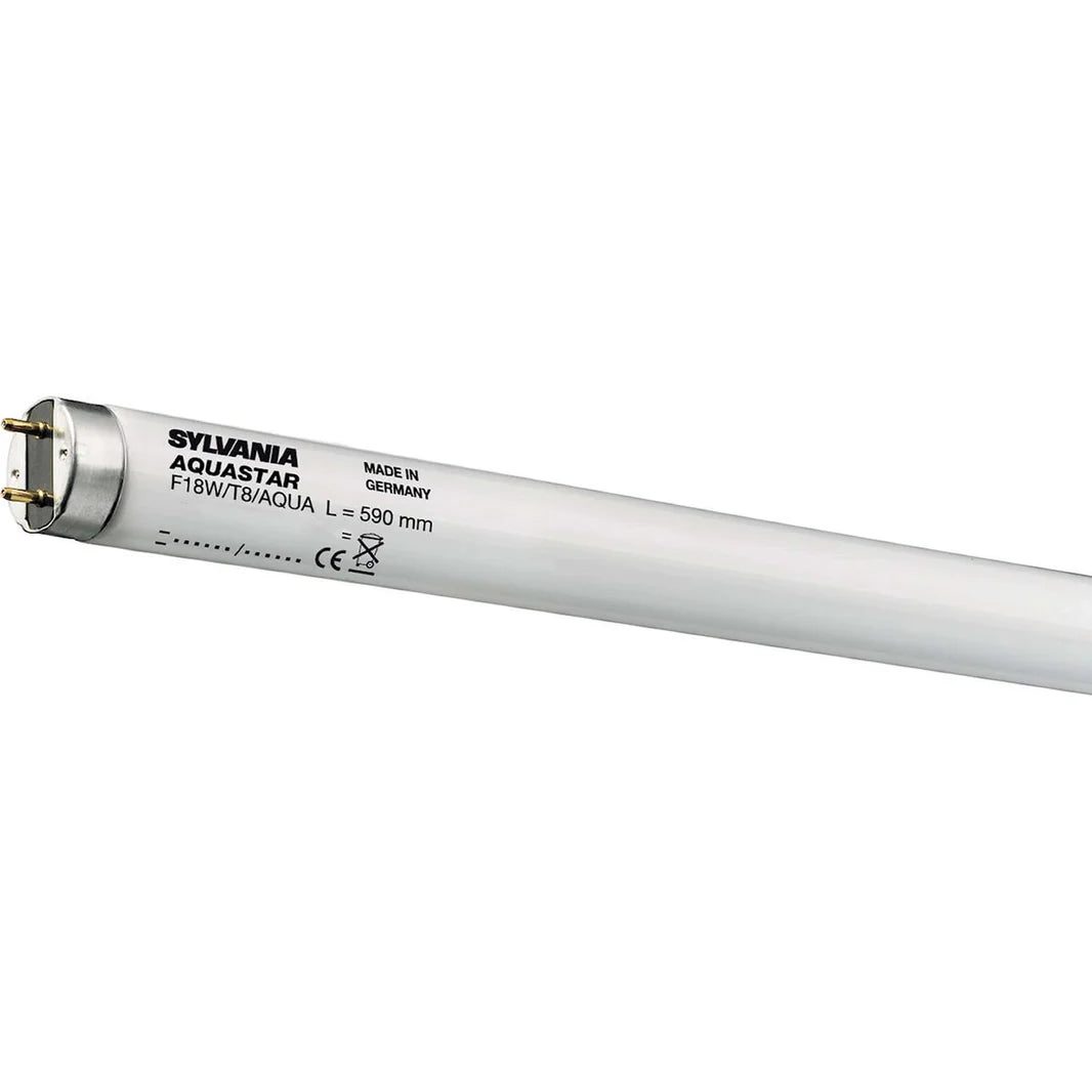 Aquastar Sylvania T8 F18W 174 10000K G13 590 mm lámpara de acuario